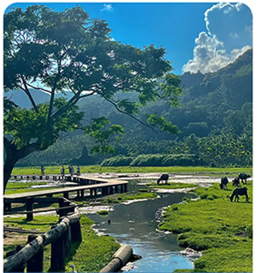还有城郊旅游